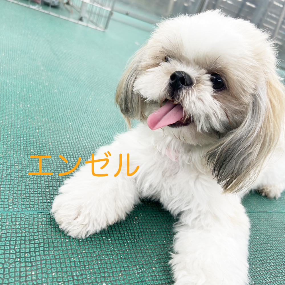 生徒が撮影してくれた写真②
